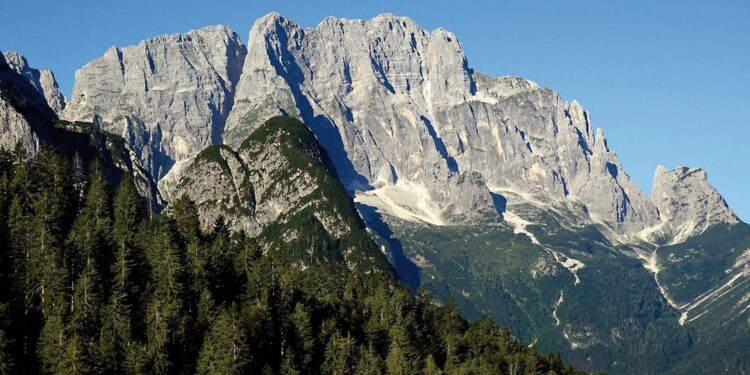 CamminaboschiFvg, on line la nuova webApp