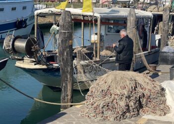 Caro gasolio, «serve azione Governo-Regioni»