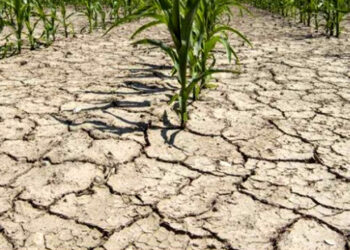 Cento milioni contro la siccità