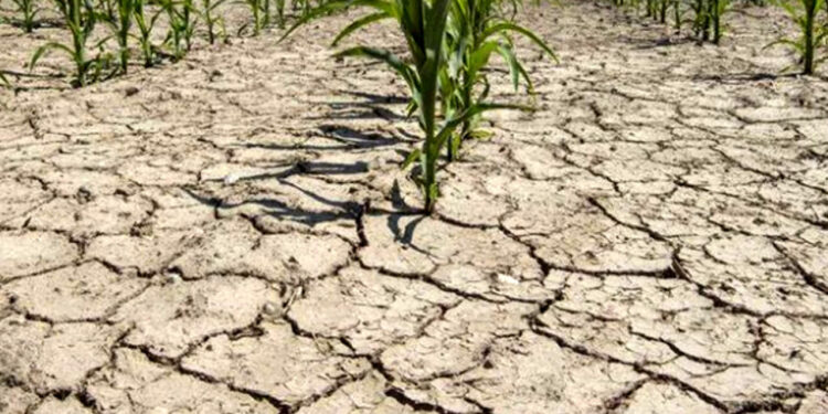 Cento milioni contro la siccità