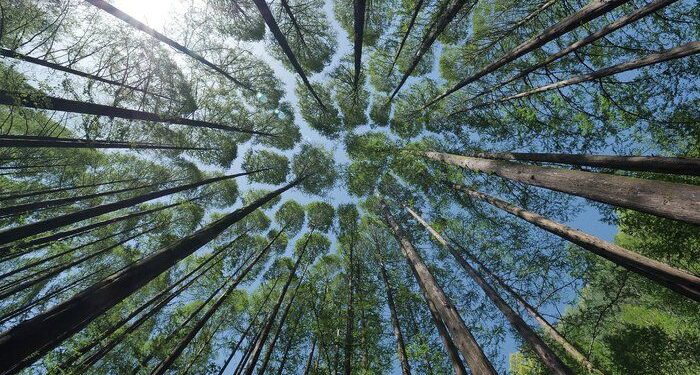 Clima, Regione Fvg aderisce alla “Carta di missione” Ue