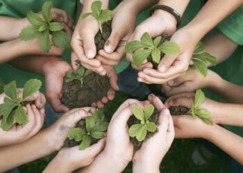 Clima, il Fvg lancia gli Stati generali della sostenibilità