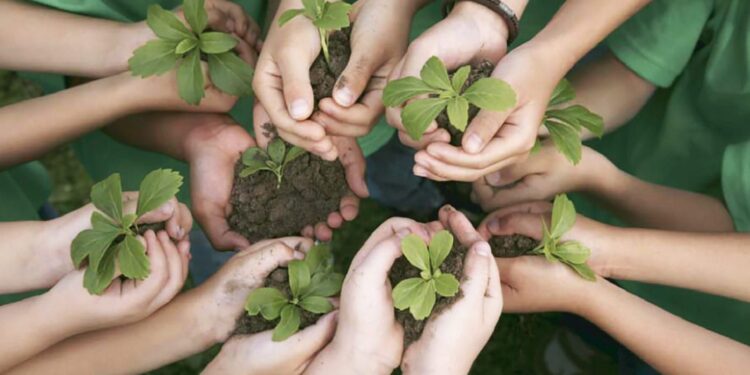 Clima, il Fvg lancia gli Stati generali della sostenibilità