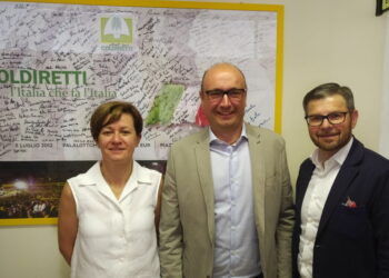 Coldiretti: “Cimice emergenza nazionale”