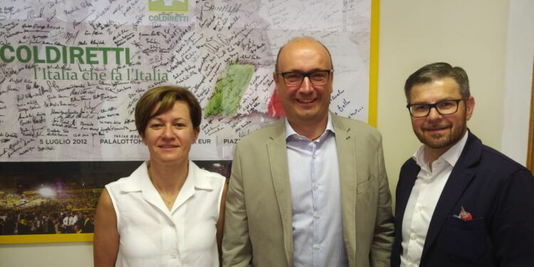 Coldiretti: “Cimice emergenza nazionale”