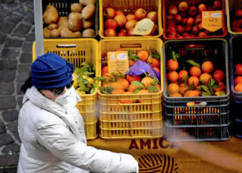 Coldiretti Fvg: «Perdite pesanti per l’agricoltura, ma la campagna non si ferma»