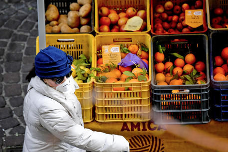 Coldiretti Fvg: «Perdite pesanti per l’agricoltura, ma la campagna non si ferma»