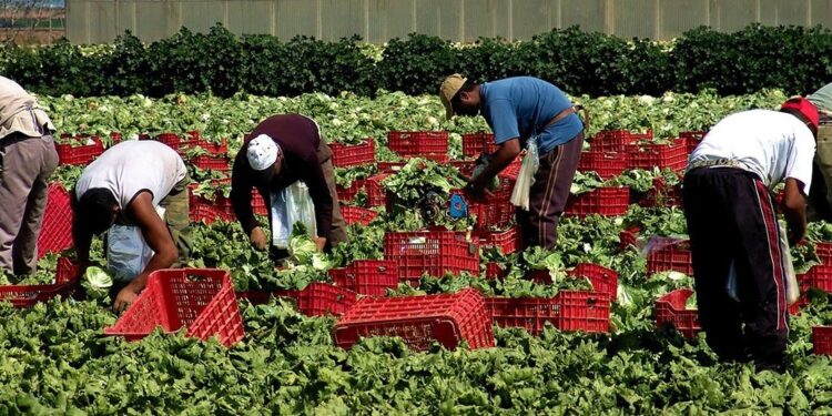 Confagricoltura Fvg: bene il nuovo Decreto flussi