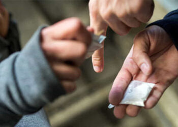 Controlli anti droga in Carnia