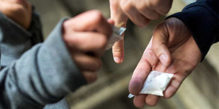 Controlli anti droga in Carnia