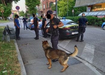 Controlli in borgo stazione a Udine, verifiche su 190 persone