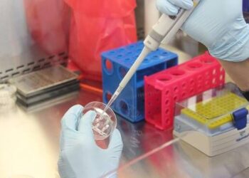 Coronavirus ancora nessun nuovo contagio in Fvg