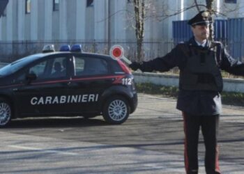 Coronavirus: cinque persone denunciate in Friuli