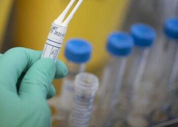 Tra i casi positivi anche un sacerdote e un consigliere regionale