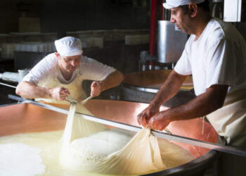 Corsi per imparare a fare il casaro. Dalla Regione 200 mila euro