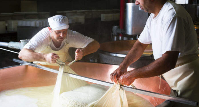 Corsi per imparare a fare il casaro. Dalla Regione 200 mila euro