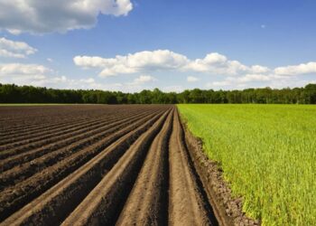 Costi alle stelle per le imprese agricole, conseguenze sui raccolti