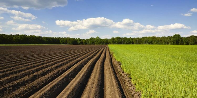 Costi alle stelle per le imprese agricole, conseguenze sui raccolti