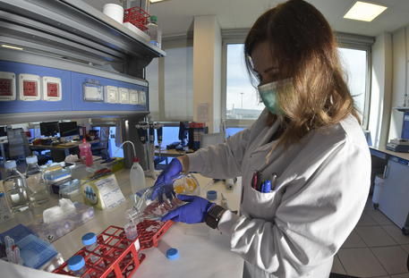 Covid, in Fvg rilevate due varianti