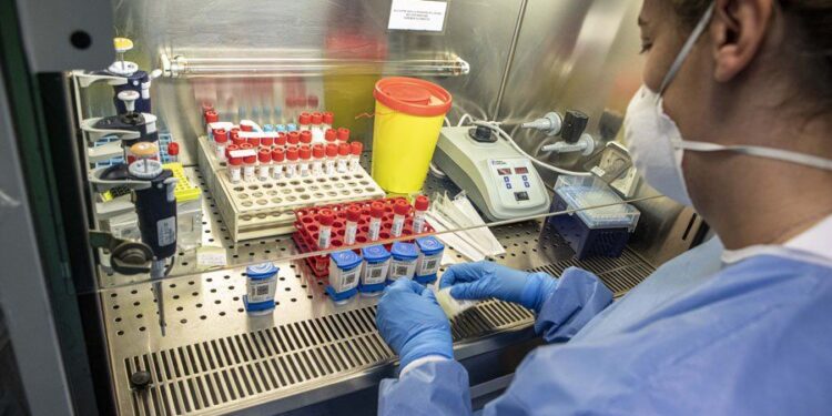 Covid, nuovi casi in calo del 3%