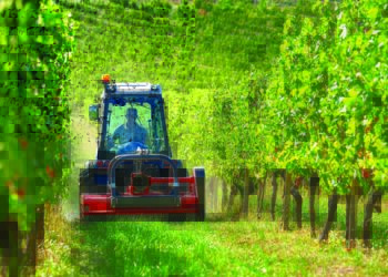 Crolla il frumento, crescono vigneti e meleti. Chiudono le stalle