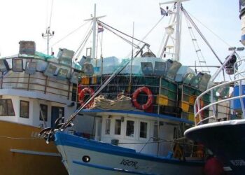 Da sabato 19 agosto fermo pesca in tutto l’Adriatico