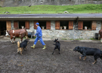 Dal 1° febbraio i contributi per i giovani imprenditori in montagna