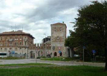 Droga nascosta in un nido sull’albero
