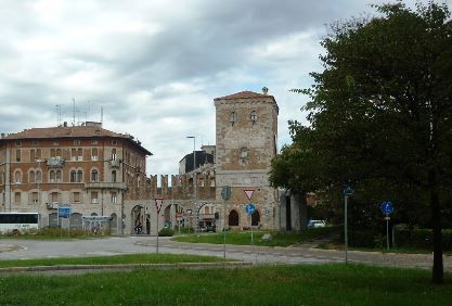Droga nascosta in un nido sull’albero