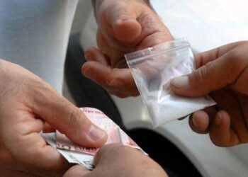 Droga. Denunce e perquisizioni