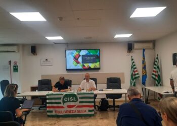 Cisl: Preoccupa l’occupazione in futuro per il Fvg. Electrolux e Wartsila, «urge intervento del governo»