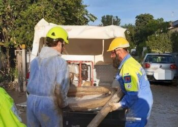 Emilia Romagna, 13 morti. Ancora zone sommerse