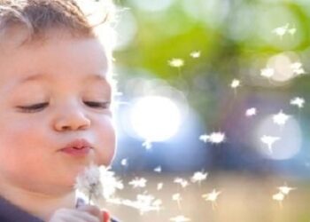 Festa della vita, S. Messa alle Grazie e Adorazione notturna