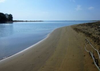 Foce del Tagliamento, sì al recupero della riva sinistra