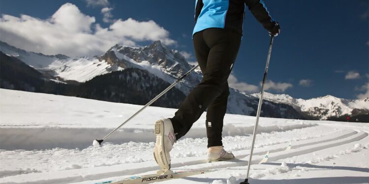 Folla nei 6 poli regionali: 22 mila primi ingressi