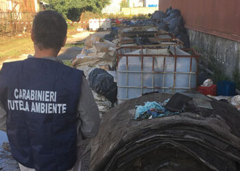 Fvg, 2019 anno record reati ambientali