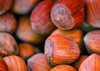 Fvg, boom del nocciolo