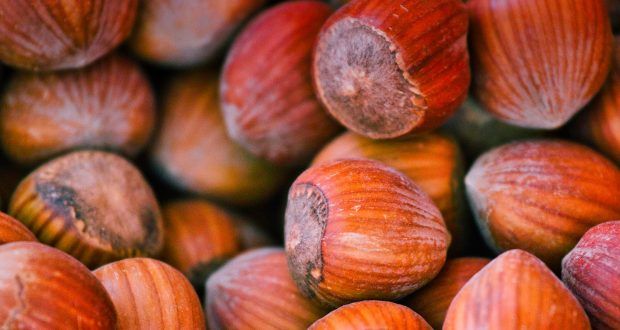 Fvg, boom del nocciolo