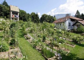 Giornata del Creato, celebrazioni, incontri e preghiera