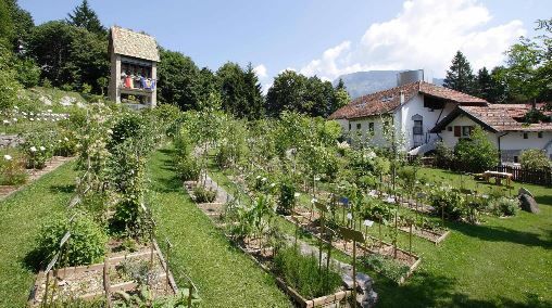 Giornata del Creato, celebrazioni, incontri e preghiera