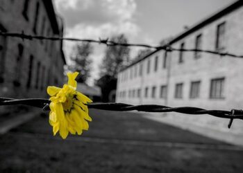 Giornate Memoria nella Bassa Friulana anche in nome Regeni