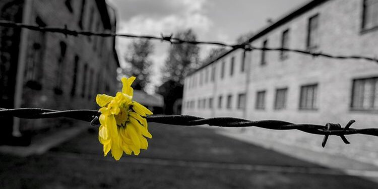 Giornate Memoria nella Bassa Friulana anche in nome Regeni