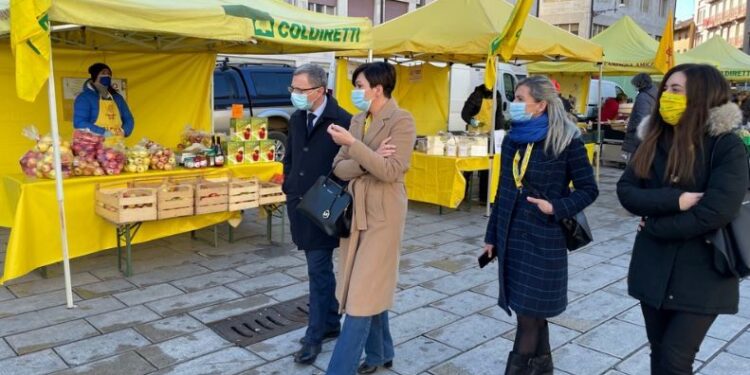 «Giovani agricoltori, futuro del settore»