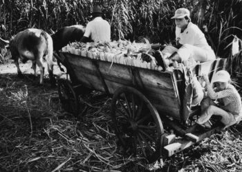 I “senza terra” di Salgado in mostra in Friuli