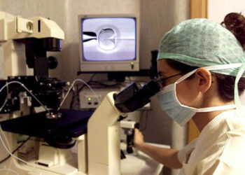 Il ministro Lorenzin: «Utero in affitto è ultra prostituzione e schiavitù»