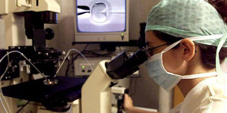 Il ministro Lorenzin: «Utero in affitto è ultra prostituzione e schiavitù»