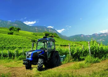 In Fvg l’export agroalimentare cresce del 53% nel post Covid