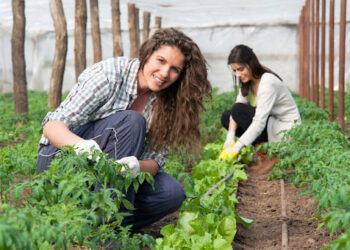 In aumento le aziende agricole guidate da giovani