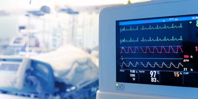 In gravi condizioni un 25enne aggredito dal suo pitbull