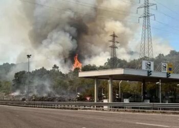 Incendi, “massima allerta in tutta la regione”